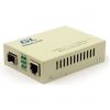 GIGALINK GL-MC-UTPG-SFPG-F