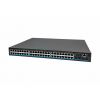 NST NS-SW-48G4G-PL