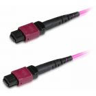  - Hyperline FHD-MC3-504-MPOF12/PS-MPOF12/PS-A-1M-LSZH-MG