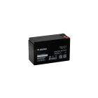 Бастион RAPAN SB 1207 (9163) - Бастион RAPAN SB 1207 (9163)