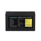  - Marsriva MR-LFP12-100-LAR