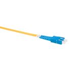  - Datarex DR-221148