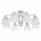  - Потолочная люстра Arte Lamp Emma A2713PL-8WG