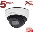 Beward SV3212DBS(3.6 mm) - Beward SV3212DBS(3.6 mm)
