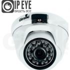  - Giraffe GF-IPVIR4305MP2.0 (2.8) c сервисом IPEYE